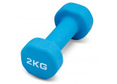 Гантель для аэробики неопреновая 2 кг PRCTZ NEOPRENE DUMBBELL PS7095