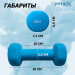Гантель в неопреновой оболочке 2кг Fitex Pro FTX-2015-2kg 75_75