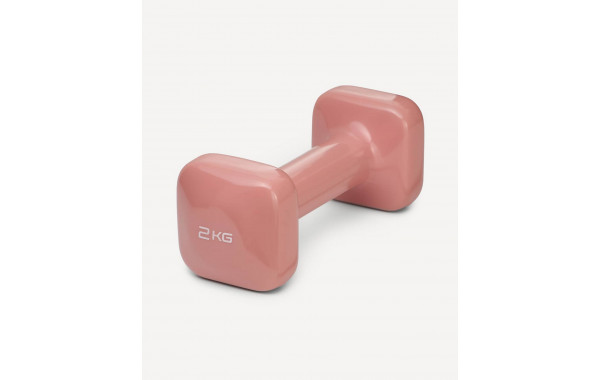 Гантель виниловая 2 кг Star Fit DB-106 терракотовый 600_380