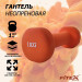 Гантель в неопреновой оболочке 1кг Fitex Pro FTX-2015-1kg 75_75