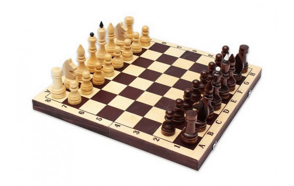 Шахматы обиходные лак с темной доской Р-11 600_380