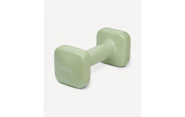 Гантель виниловая 2,5 кг Star Fit DB-106 оливковый 600_380