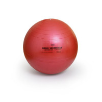 Гимнастический мяч 55см SISSEL Securemax Exercice Ball S160.011