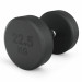 Гантель круглая обрезиненная 22,5 кг UnixFit PRO DBRND22_5PBKx2 2 шт 75_75