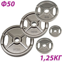 Блин крашеный Sportex d51 мм, 1,25 кг, с двойным хватом HKPL107 хамертон