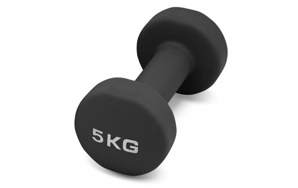 Гантель для аэробики неопреновая 5 кг PRCTZ NEOPRENE DUMBBELL PS7135 600_380