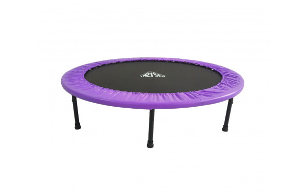 Батут DFC Jump Sun 55' б/сетки (137см) 55INCH-JS-P фиолетовый 600_380