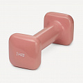 Гантель виниловая 1 кг Star Fit DB-106 терракотовый 120_120
