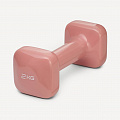 Гантель виниловая 2 кг Star Fit DB-106 терракотовый 120_120