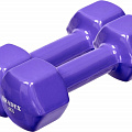 Набор гантелей обрезиненных 2x4 кг Bradex SF 1018 фиолетовый 120_120